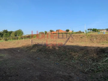 Terreno para Venda em Trofa, Segadães e Lamas do Vouga