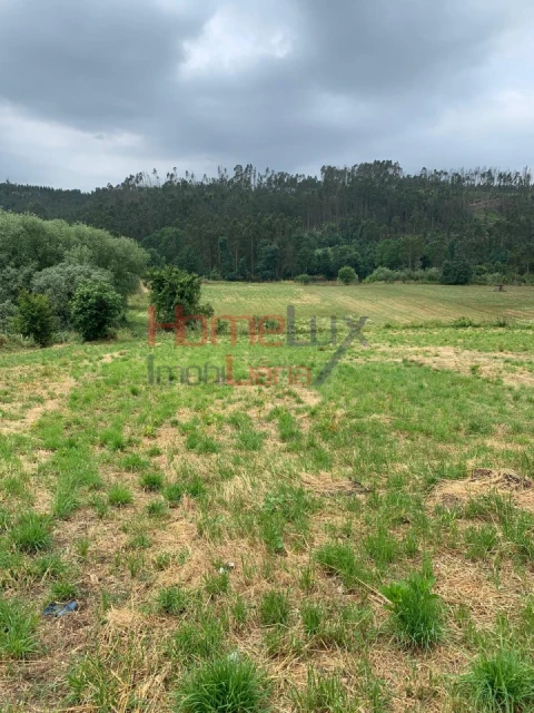Terreno para Venda em Trofa, Segadães e Lamas do Vouga