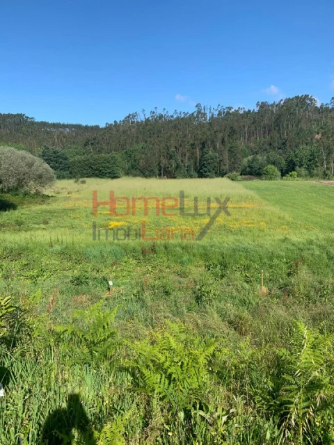 Terreno para Venda em Trofa, Segadães e Lamas do Vouga