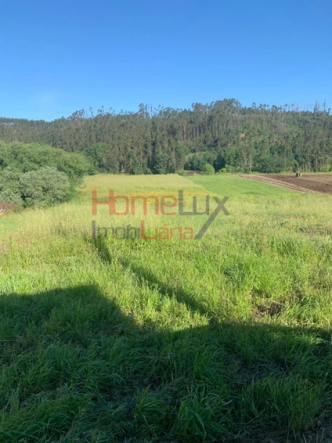 Terreno para Venda em Trofa, Segadães e Lamas do Vouga