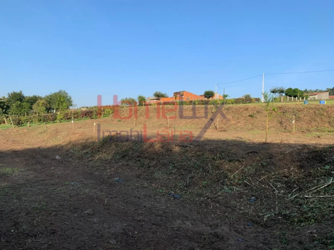 Terreno para Venda em Trofa, Segadães e Lamas do Vouga Foto 2