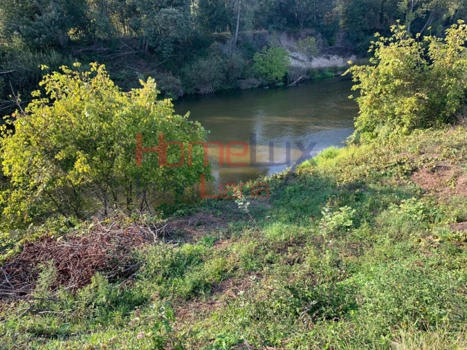 Terreno para Venda em Trofa, Segadães e Lamas do Vouga Foto 3