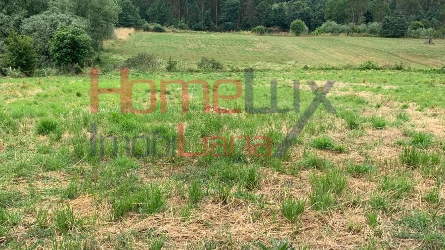 Terreno para Venda em Trofa, Segadães e Lamas do Vouga