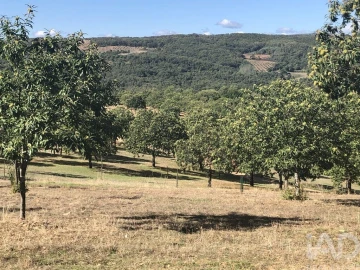 Quinta para Venda em Paramio