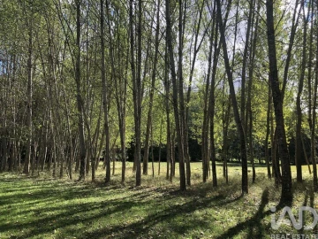 Quinta para Venda em Paramio