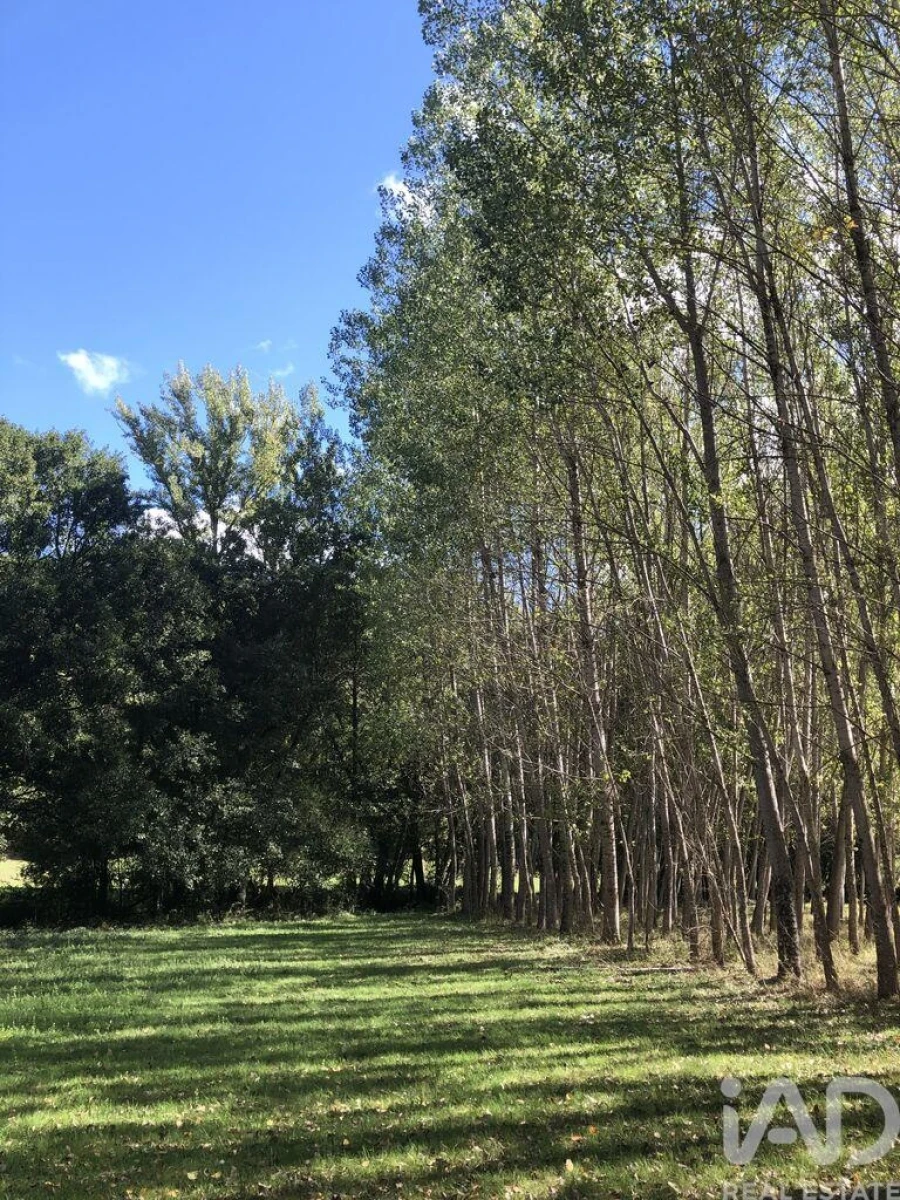 Quinta para Venda em Paramio Foto 7