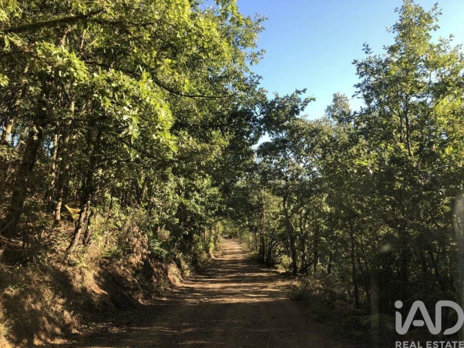 Quinta para Venda em Paramio Foto 3