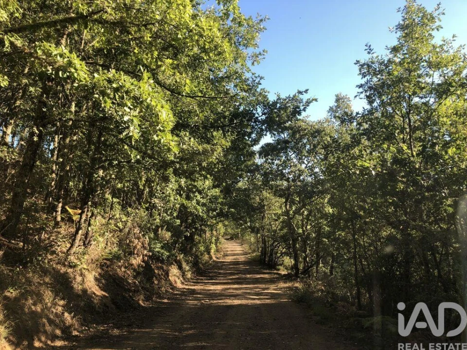 Quinta para Venda em Paramio Foto 3