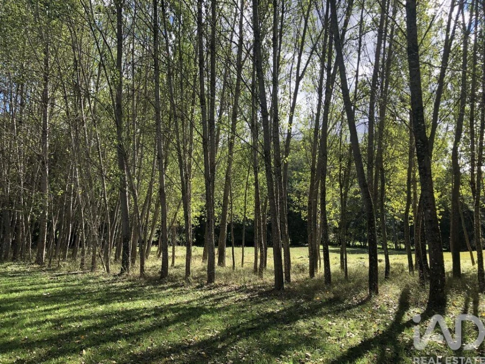 Quinta para Venda em Paramio Foto 5