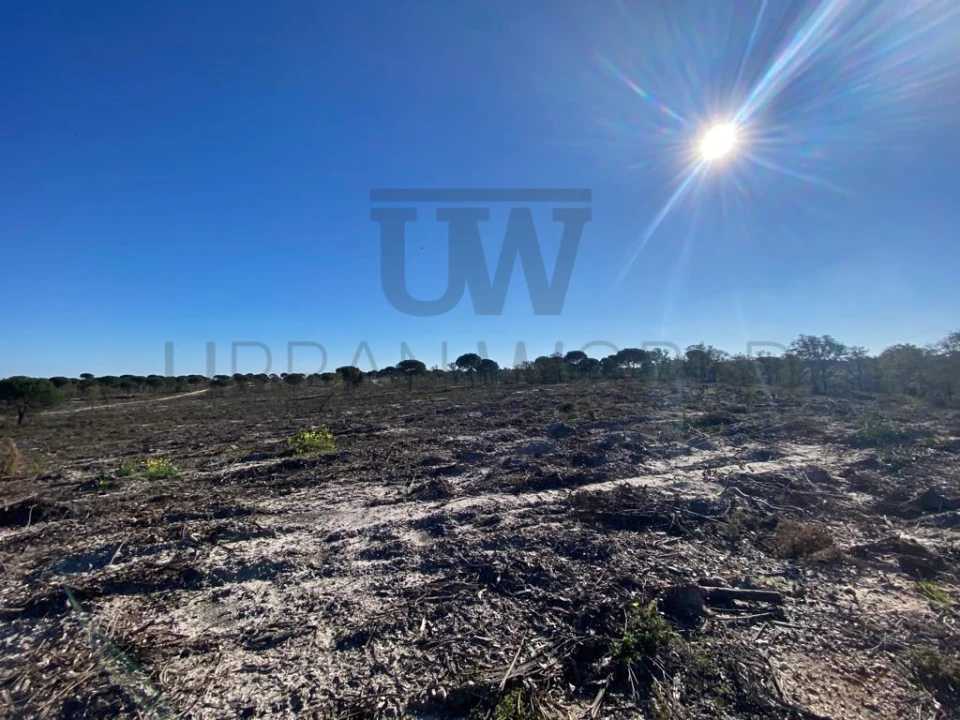 Terreno Comércio / Armazém para Venda em União das Freguesias de Setúbal Foto 5