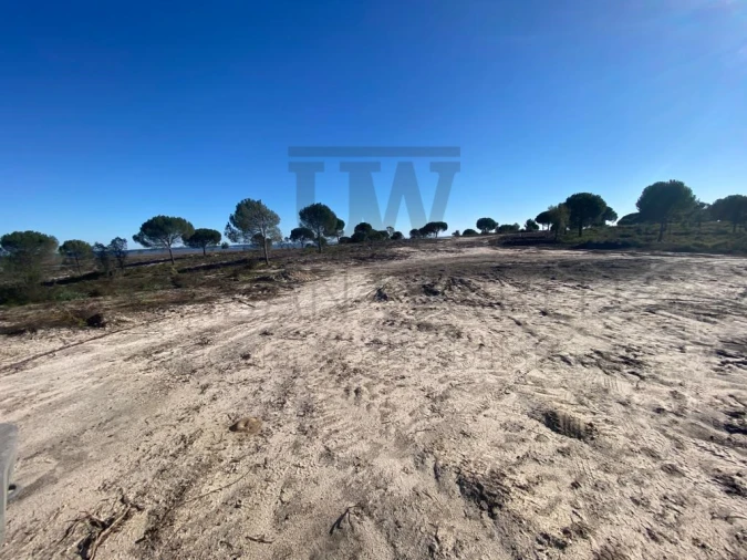 Terreno Comércio / Armazém para Venda em União das Freguesias de Setúbal Foto 2