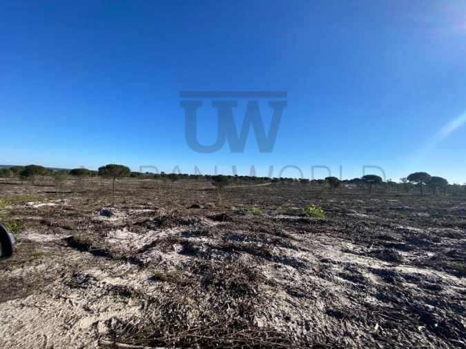 Terreno Comércio / Armazém para Venda em União das Freguesias de Setúbal Foto 3
