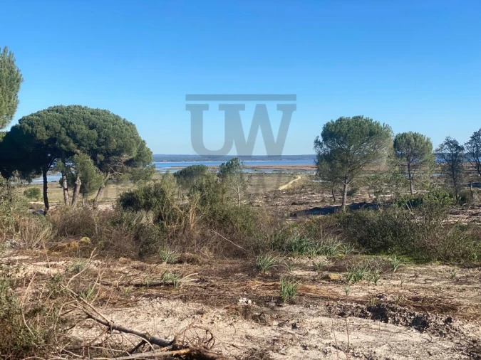 Terreno Comércio / Armazém para Venda em União das Freguesias de Setúbal Foto 4