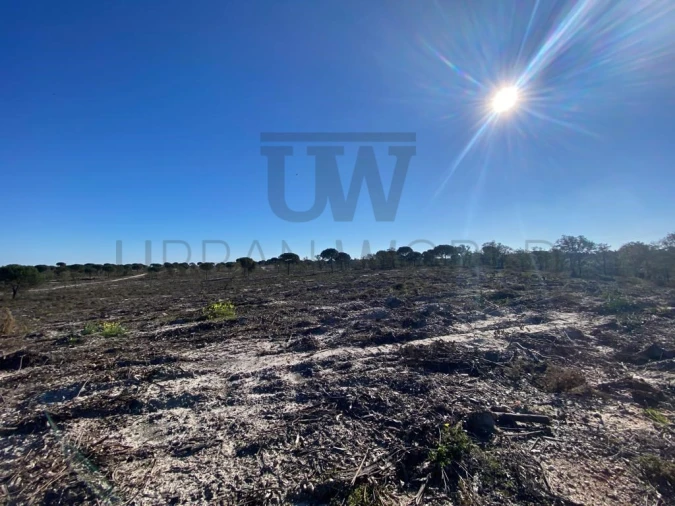 Terreno Comércio / Armazém para Venda em União das Freguesias de Setúbal Foto 5