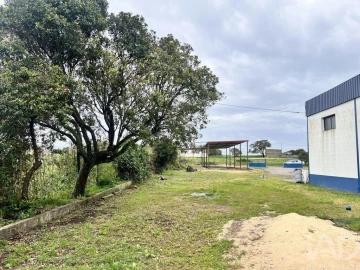 Loja para Arrendamento em Santiago do Cacém, Santa Cruz e São Bartolomeu da Serra