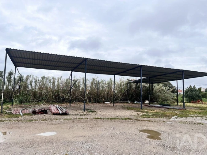 Loja para Arrendamento em Santiago do Cacém, Santa Cruz e São Bartolomeu da Serra Foto 3