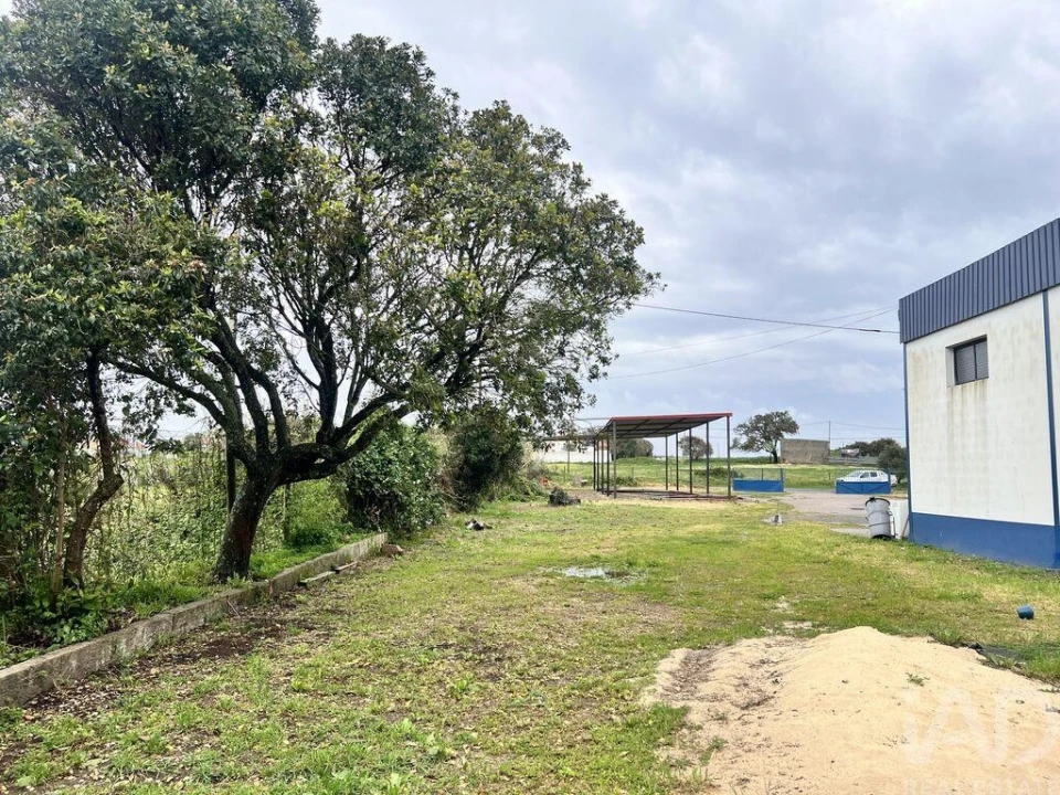 Loja para Arrendamento em Santiago do Cacém, Santa Cruz e São Bartolomeu da Serra Foto 14