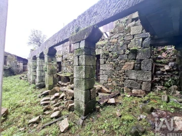 Quinta T4 para Venda em Fafe