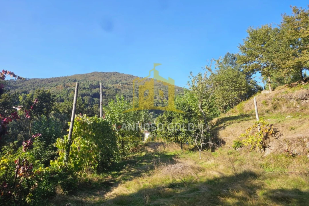 Moradia T2 para Venda em Cantelães Foto 12