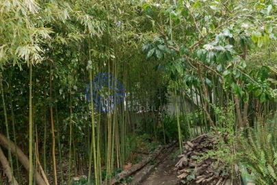 Prédio para Venda em União das Freguesias de Setúbal