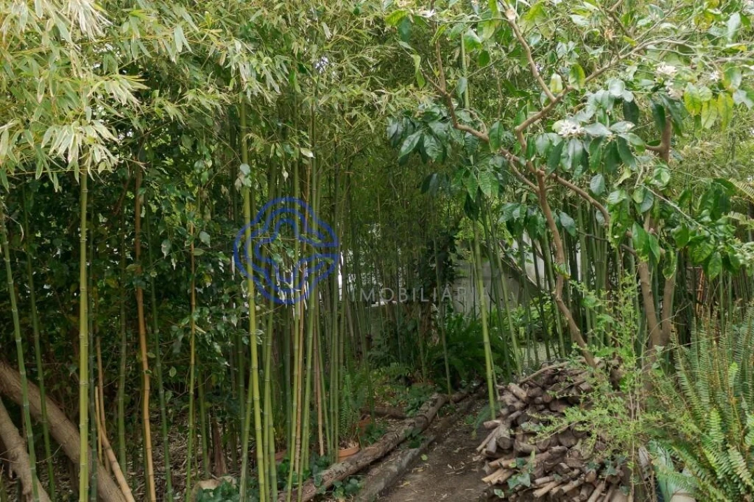 Prédio para Venda em União das Freguesias de Setúbal Foto 20