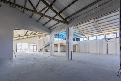 Armazém para Venda em Escapães