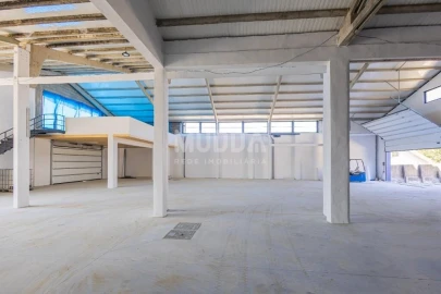 Armazém para Venda em Escapães