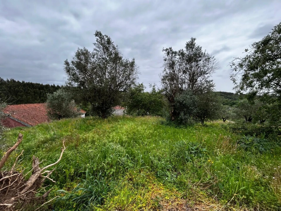 Moradia T2 para Venda em Casais e Alviobeira Foto 5