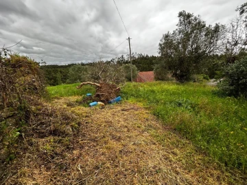 Moradia T2 para Venda em Casais e Alviobeira
