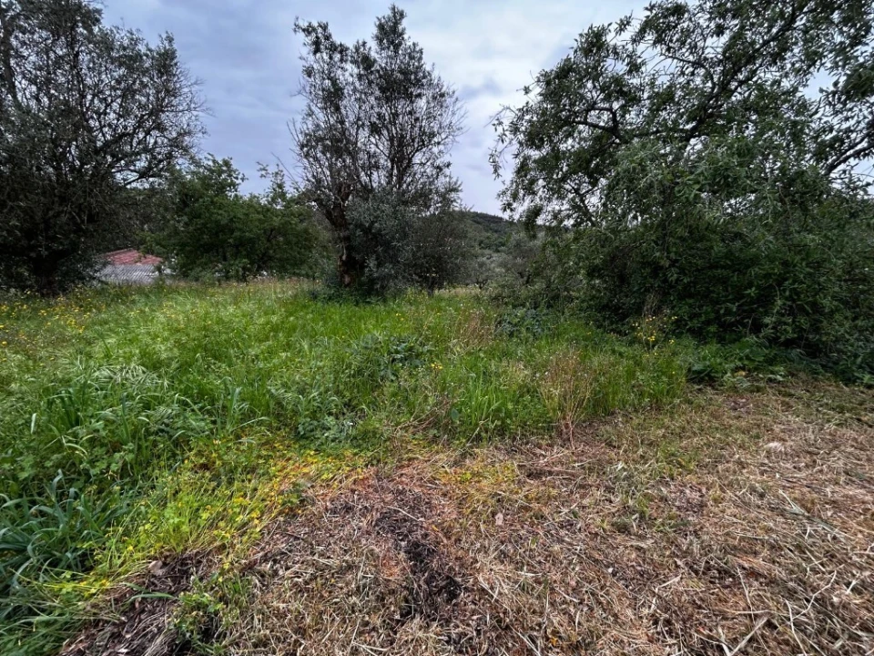 Moradia T2 para Venda em Casais e Alviobeira Foto 4