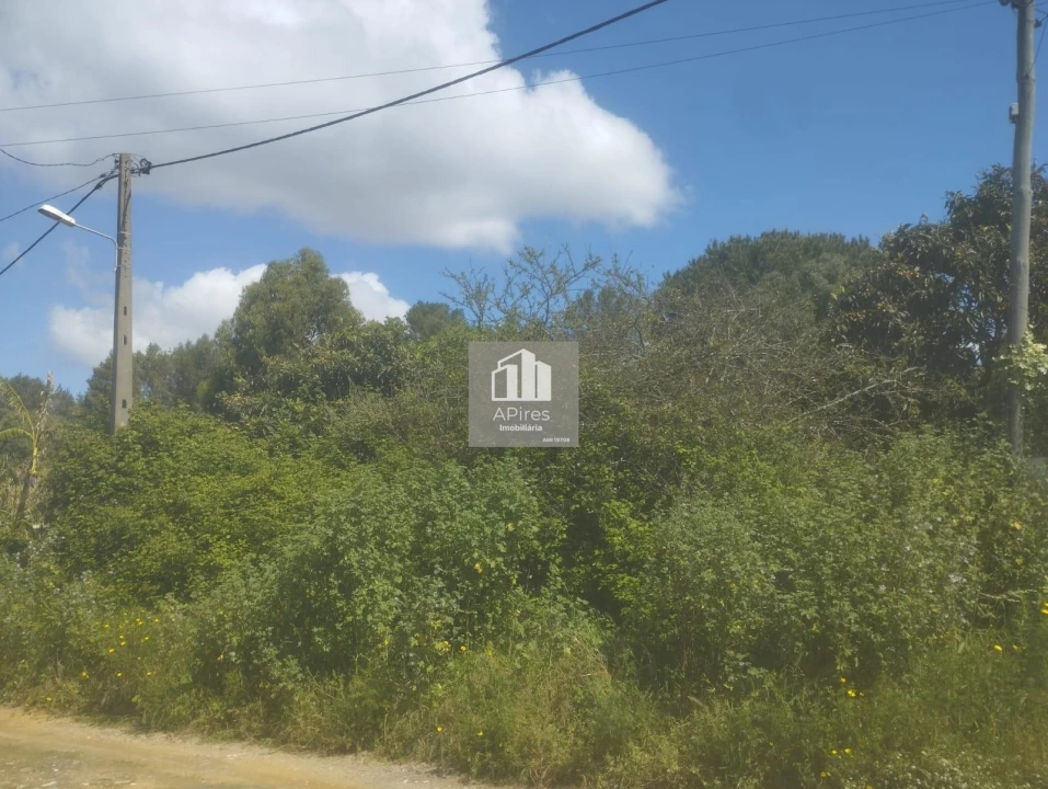Terreno para Venda em Caparica e Trafaria Foto 14