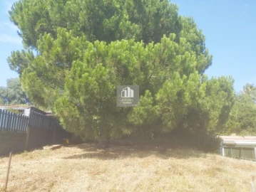 Terreno para Venda em Caparica e Trafaria