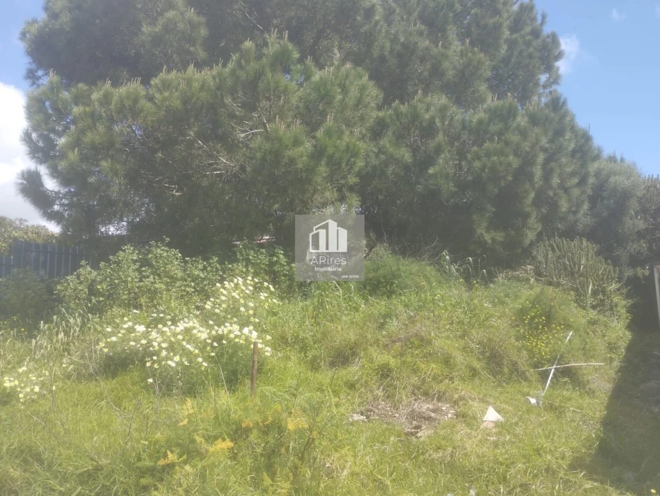 Terreno para Venda em Caparica e Trafaria Foto 6