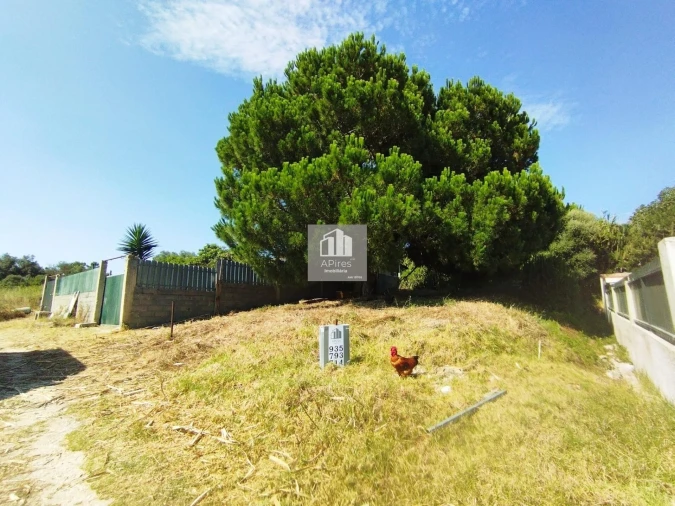 Terreno para Venda em Caparica e Trafaria Foto 33