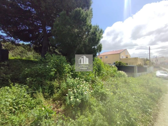 Terreno para Venda em Caparica e Trafaria Foto 8
