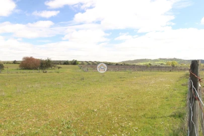 Terreno para Venda em Monsaraz