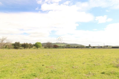 Terreno para Venda em Monsaraz