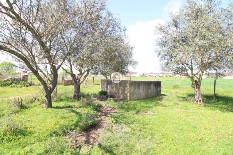 Terreno para Venda em Monsaraz Foto 17