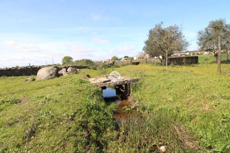 Terreno para Venda em Monsaraz Foto 9