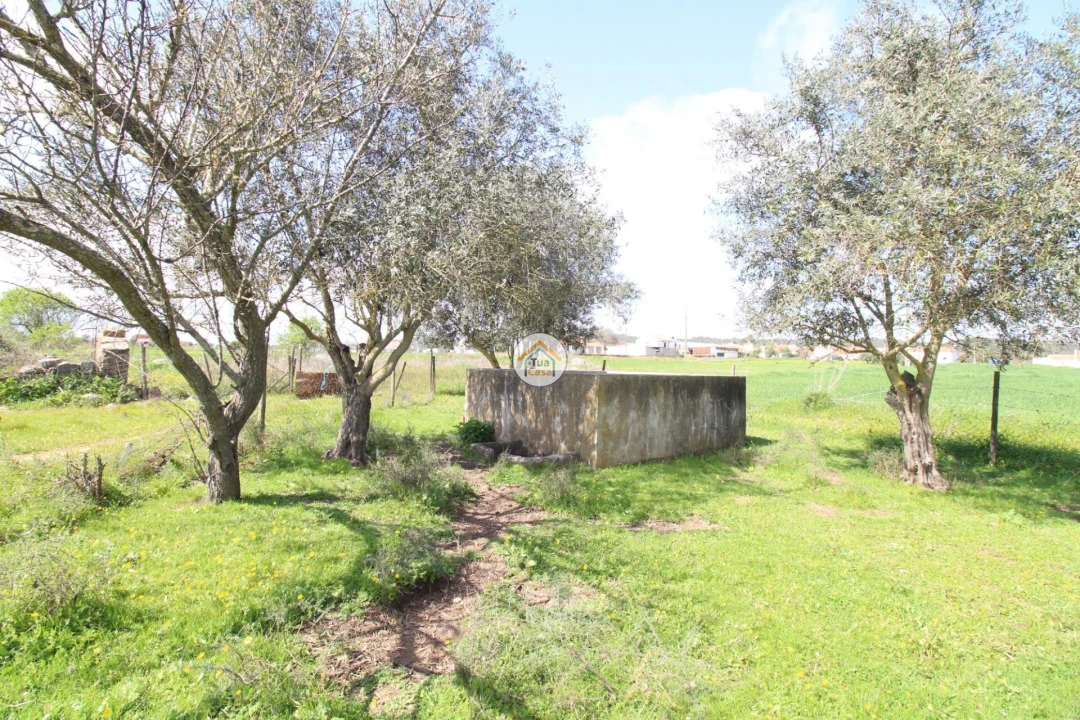 Terreno para Venda em Monsaraz Foto 17