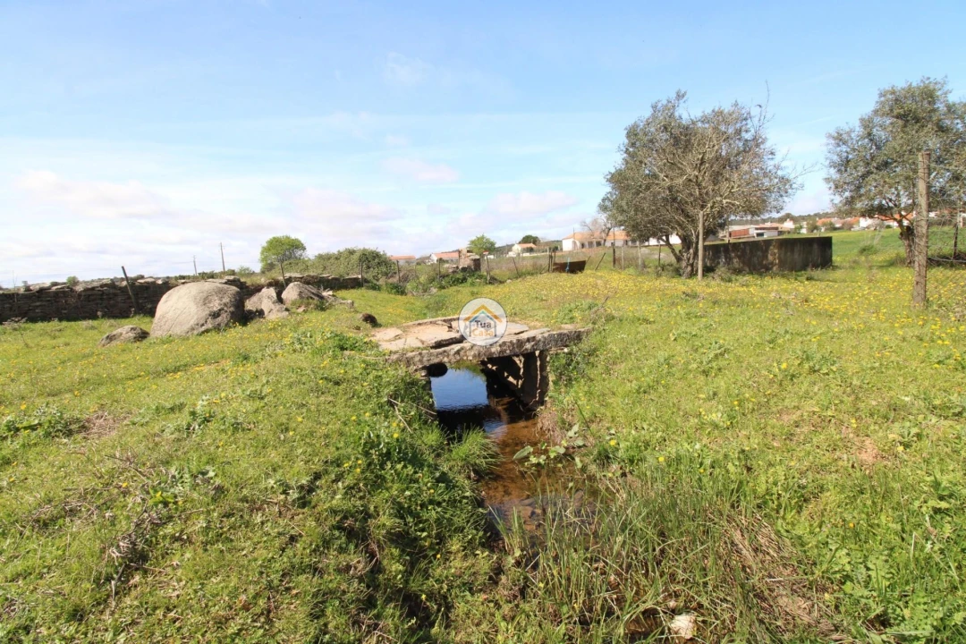 Terreno para Venda em Monsaraz Foto 9
