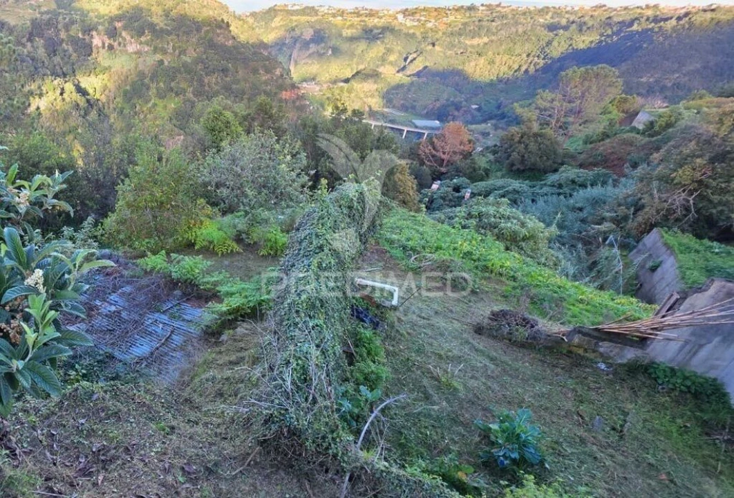 Terreno para Venda em Ilha Foto 9