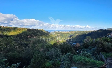 Terreno para Venda em Ilha