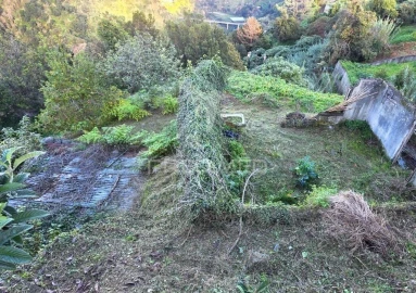 Terreno para Venda em Ilha