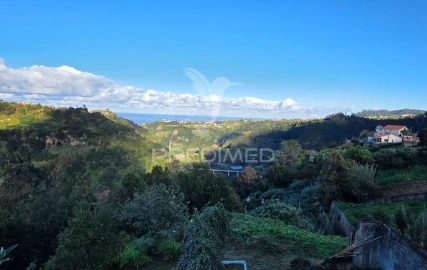 Terreno para Venda em Ilha