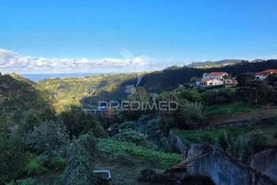 Terreno para Venda em Ilha