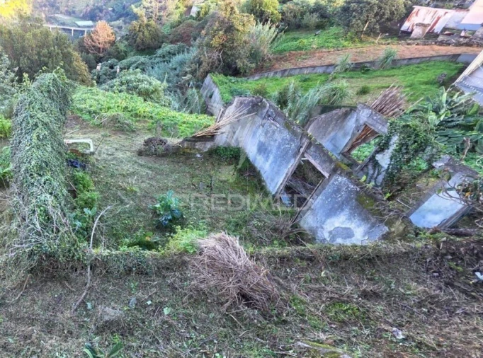 Terreno para Venda em Ilha Foto 6
