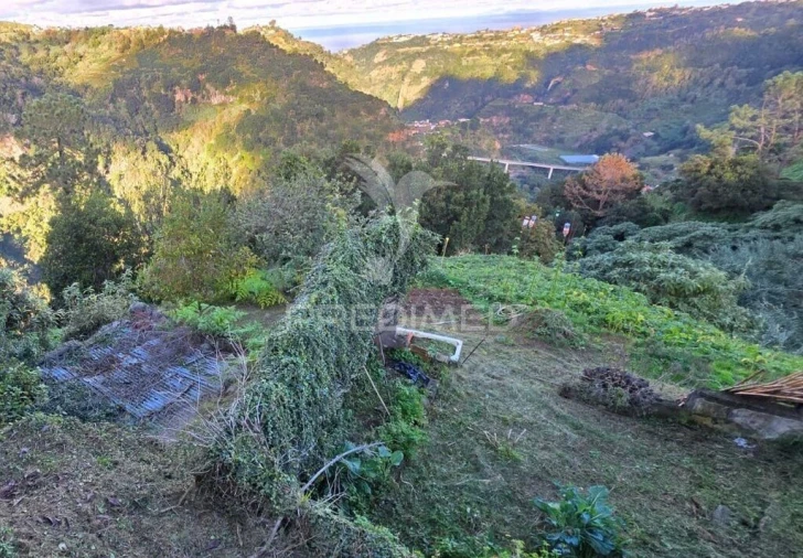 Terreno para Venda em Ilha Foto 8