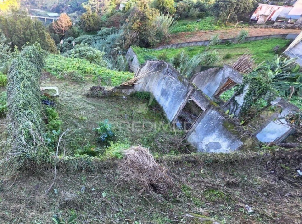 Terreno para Venda em Ilha Foto 6