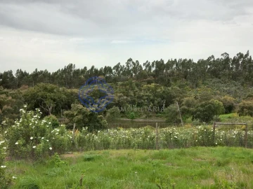 Terreno para Venda em Constancia